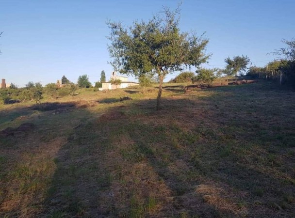 Lote en venta - Tanti